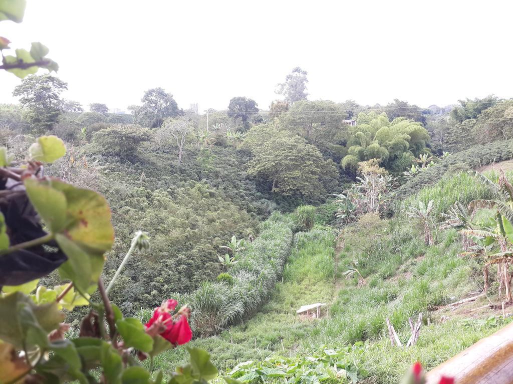 CalarcáFinca El Diamante别墅 外观 照片