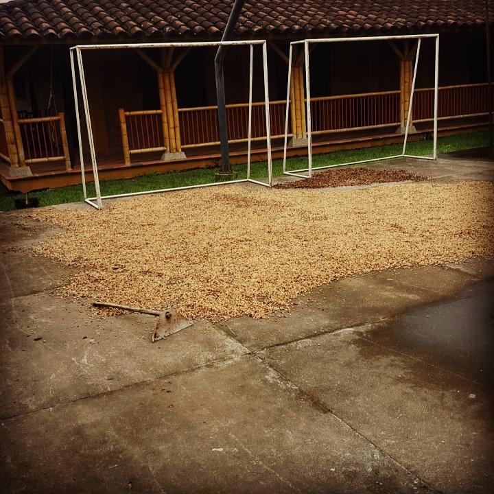 CalarcáFinca El Diamante别墅 外观 照片