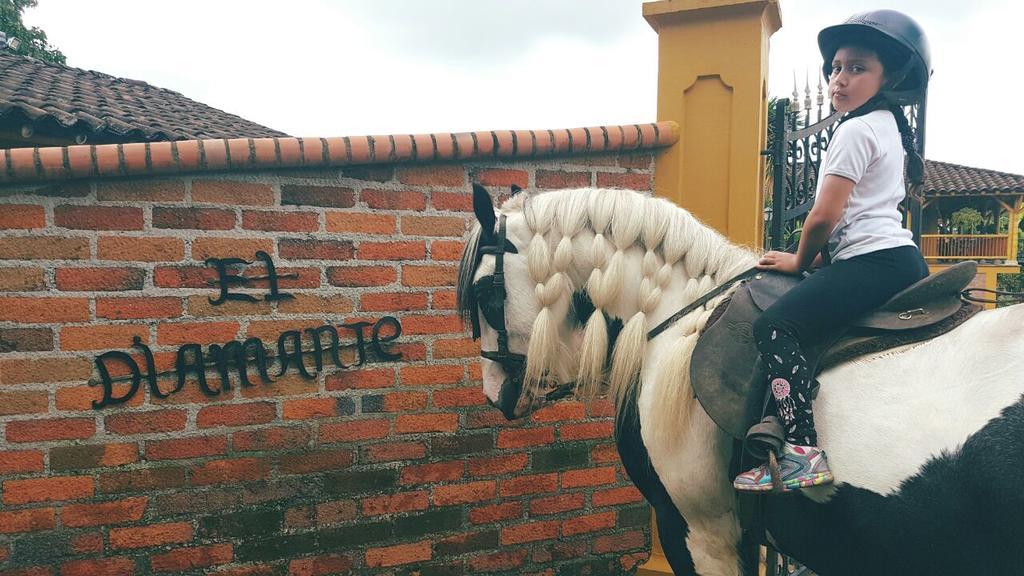 CalarcáFinca El Diamante别墅 外观 照片